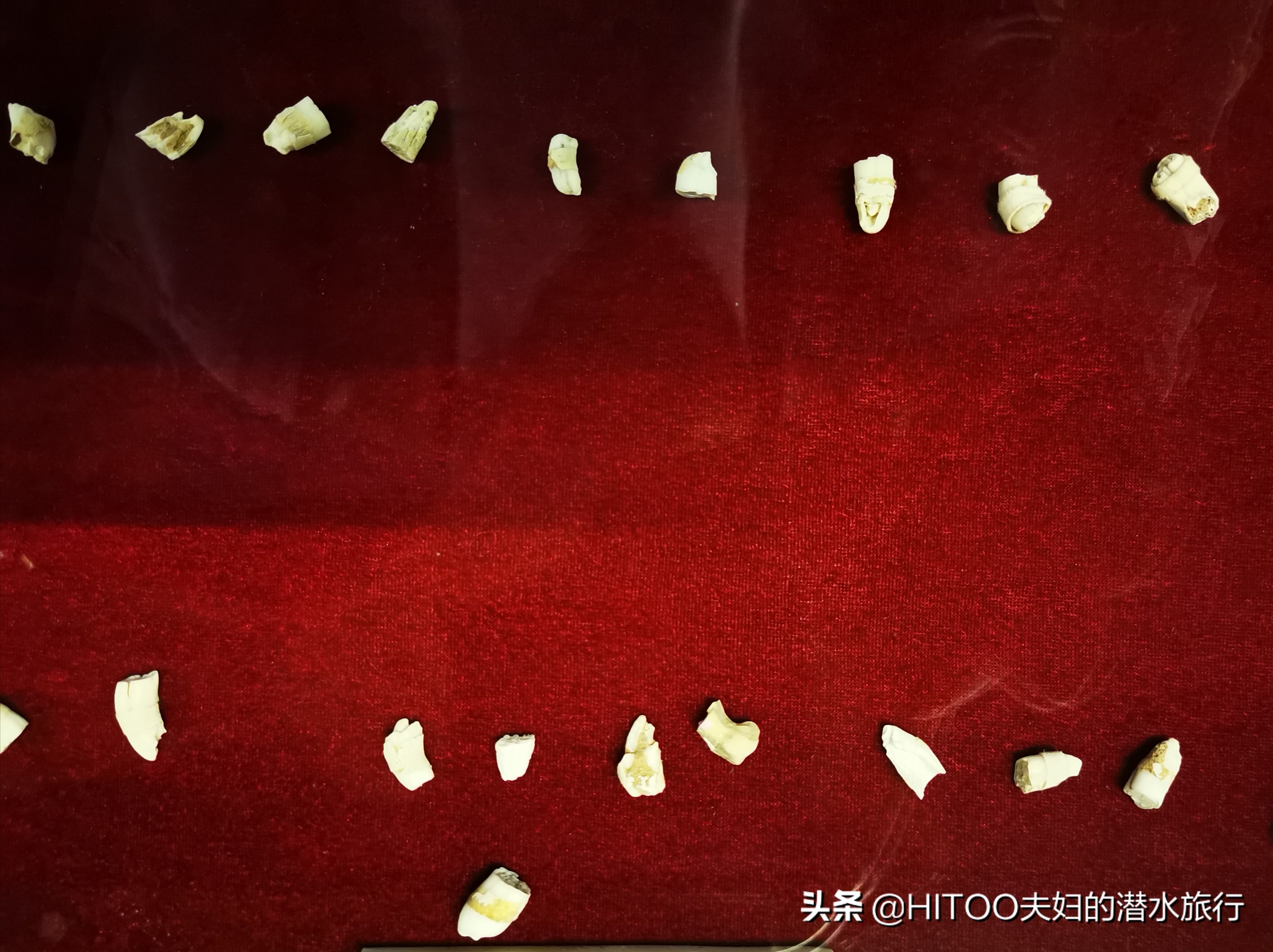 昆明到宜良九乡怎么坐车,昆明九乡旅游攻略一日游最佳路线