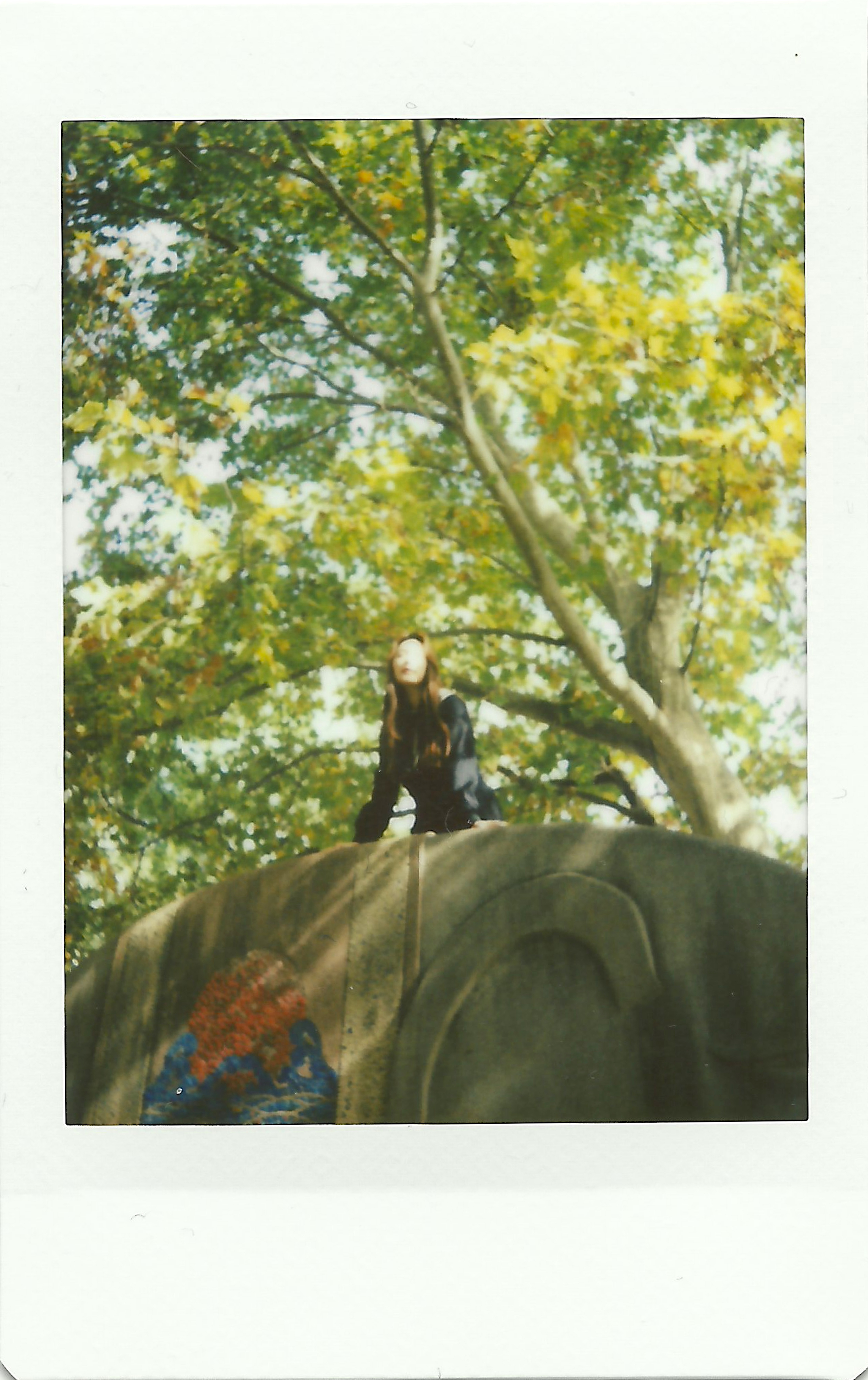 宝丽来相纸富士拍立得能用吗,富士拍立得可以配宝丽来相纸吗