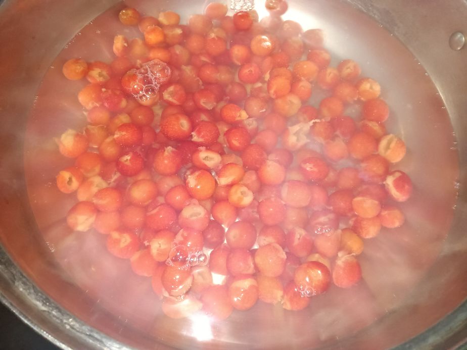 新鲜樱桃吃不完怎么处理,樱桃不易存放怎么办