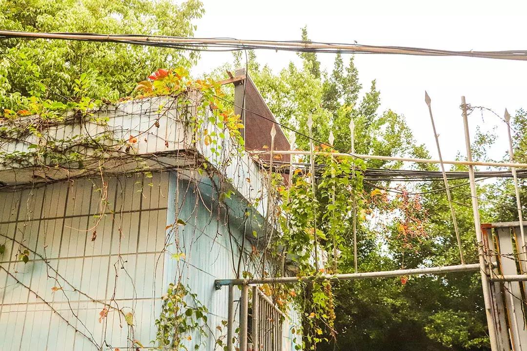 到了泉州却不知道哪里玩,惠安科山公园不爬山游玩攻略