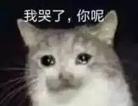 小霸王学习机怎么下载外研版教材,小霸王学习机怎么退出学习模式