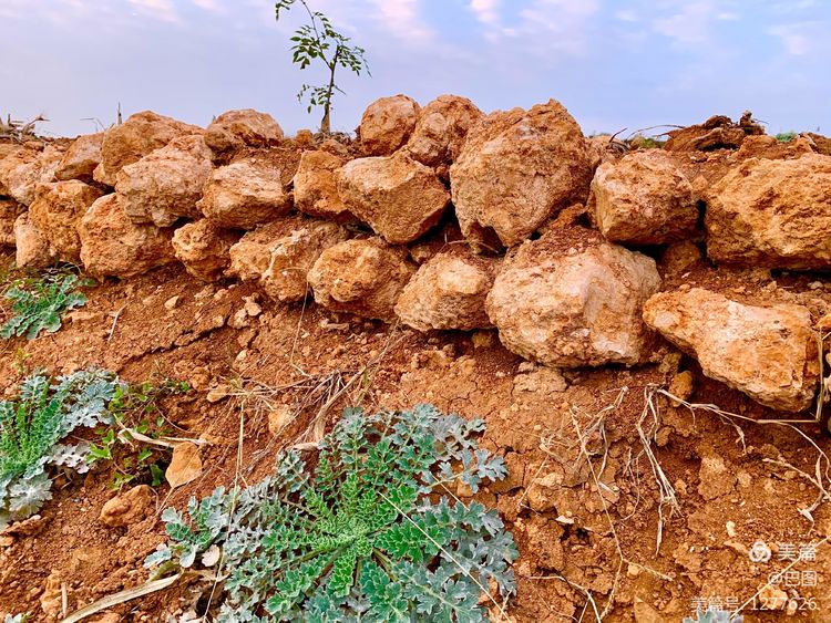 洛阳市宜阳凤凰岭射箭,宜阳县凤凰岭体育基地