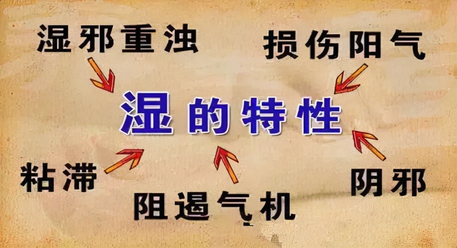 脾胃虚弱湿气重中医治疗有方法,脾胃虚弱湿气重怎么食补食谱
