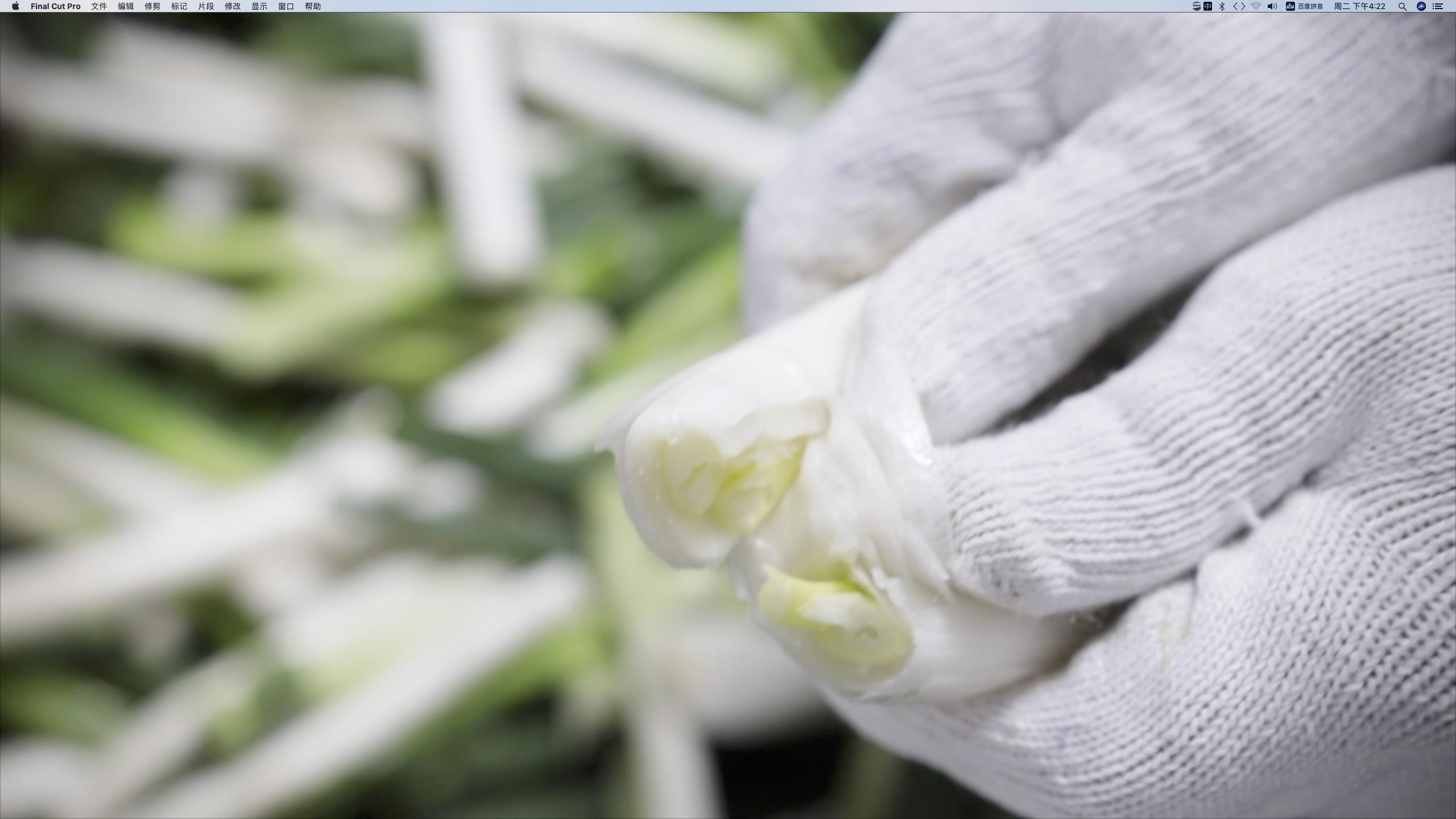 重庆火锅基地在哪里,火锅店是重庆的一张名片