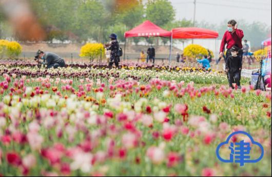 【津云镜头】降级之后,精彩假期