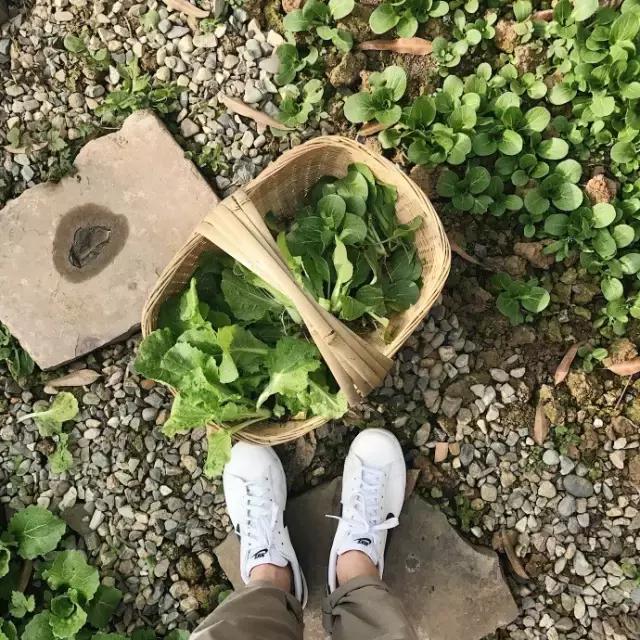 90后小伙花100万造房子,90后小伙花几千元装修500个平方