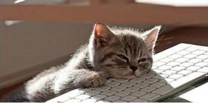 2020逆水寒多少级适合搬砖,2021年逆水寒6开搬砖收益