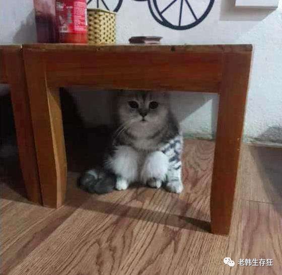 地震求生与自救技巧,生存狂在野外怎么逃生