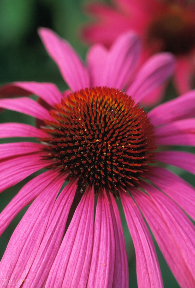 朋友圈发宝藏的说说句子,精致入心的朋友圈句子