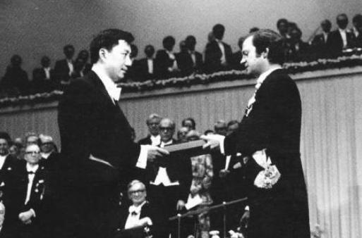 华罗庚和杨振宁谁比较厉害,杨振宁排名全球物理学家第几