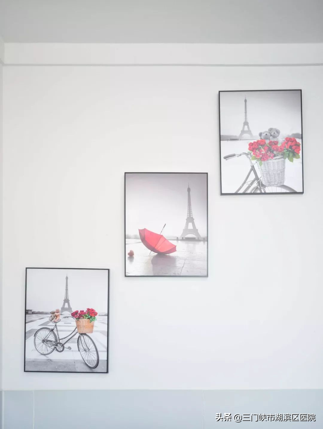 女性盆底功能障碍性疾病,盆底功能障碍性疾病科普