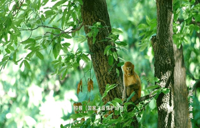 鼓城山-七里峡景区拍了拍你，国庆出游不用愁，收藏此文任君游