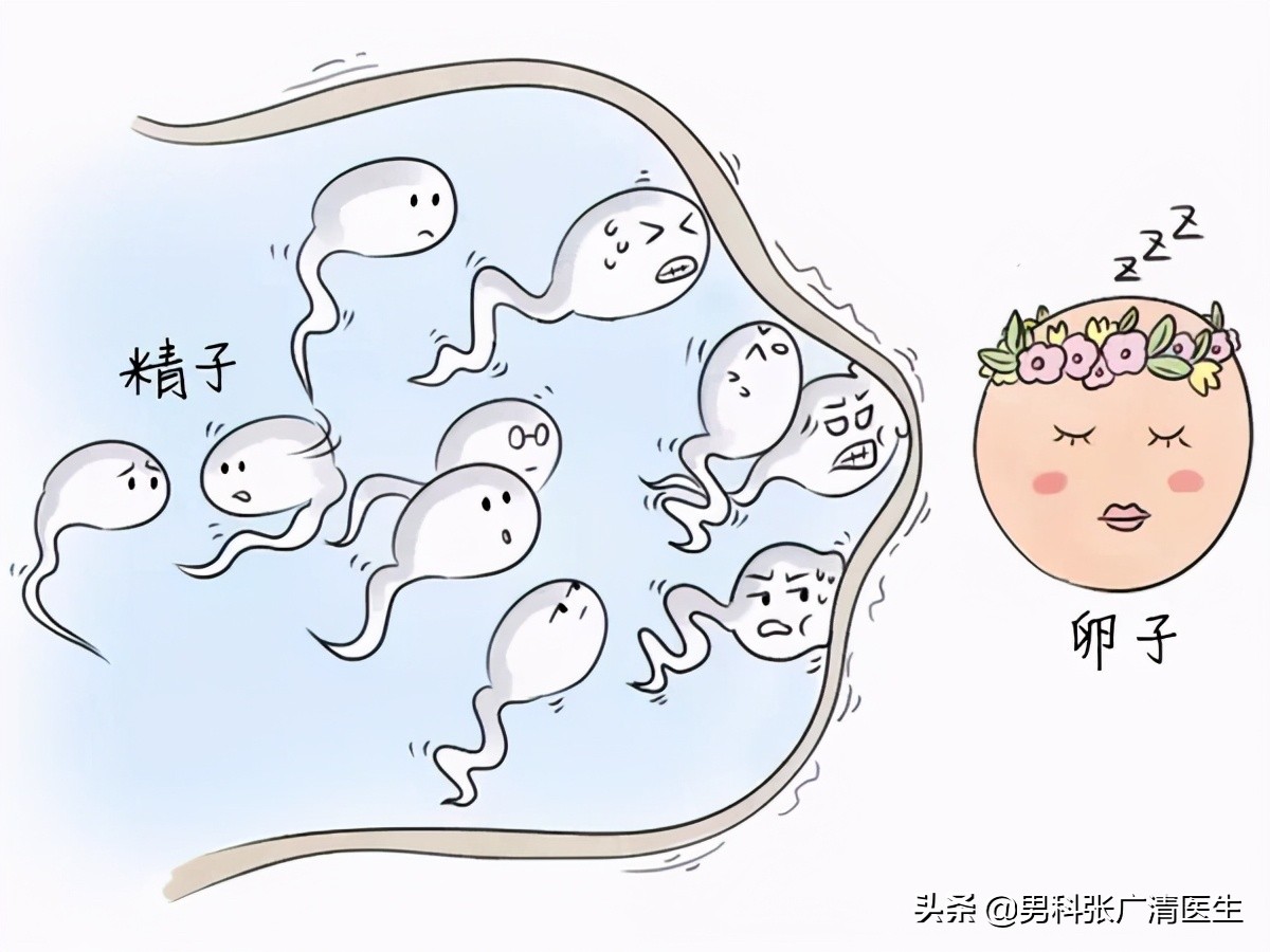 每个人都是英雄完整版,每一个人都是英雄议论文