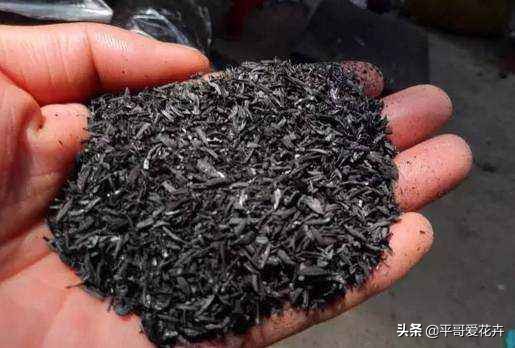 绿萝浇这三种水疯长,绿萝用淘米水浇花的正确方法