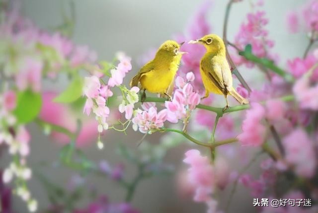 人生感悟英文短句子，句句入骨，看完你会明白很多！