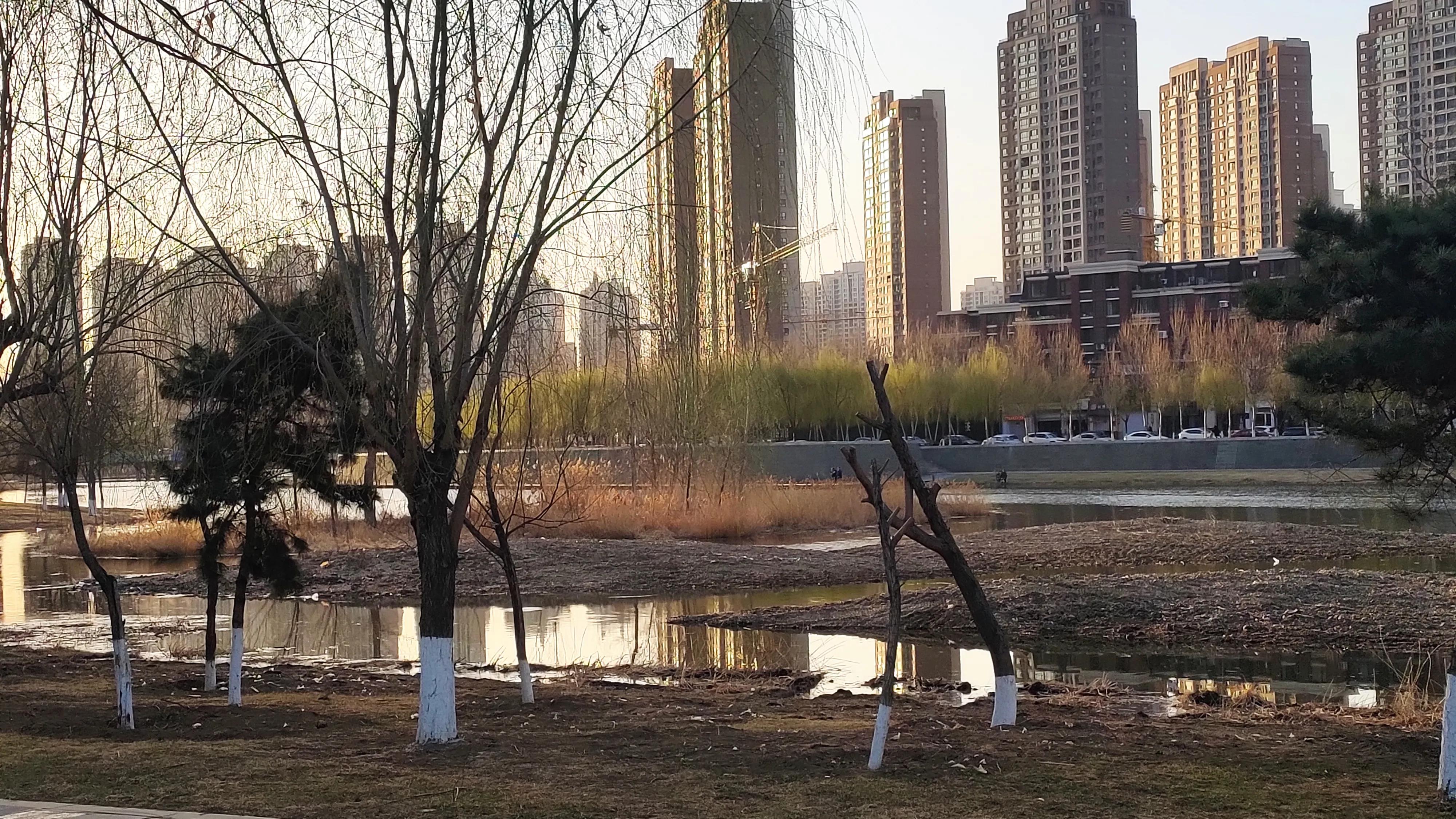 濂冲ぇ瀛︾敓缃戠害杞﹂伃鍥氱,缃戠害杞﹀コ瀛╄鍥氱