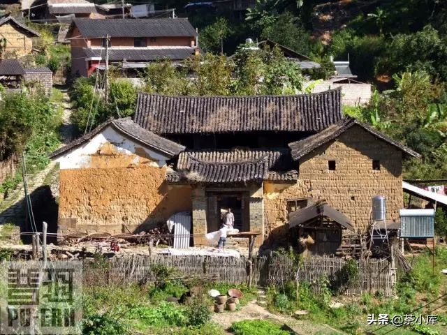 为什么那么多人喜欢大益茶,为什么这么多人喜欢萧炎