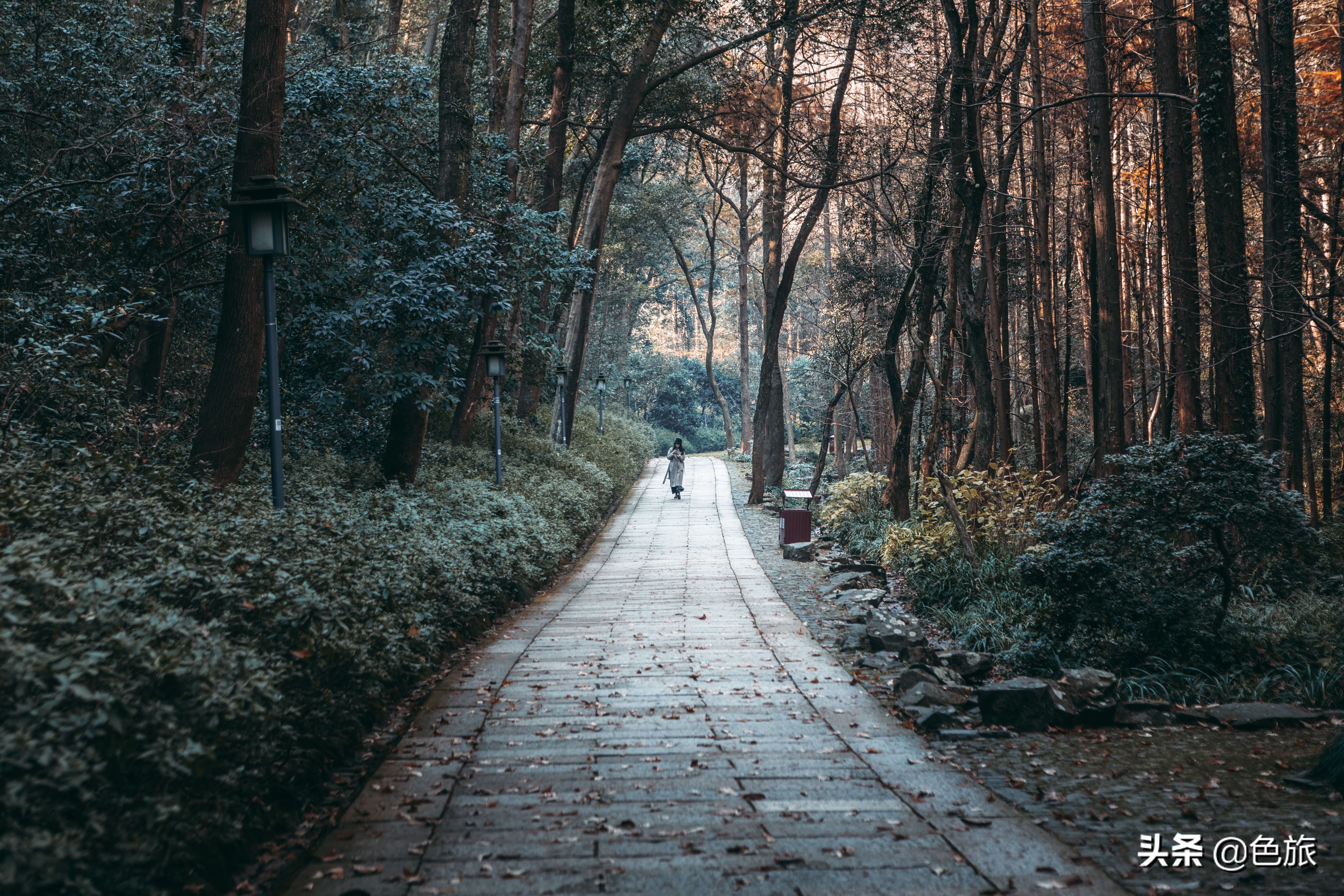 逆水寒游历虎跑梦泉怎么出葫芦,杭州游玩虎跑泉