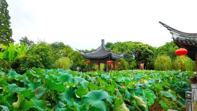 南浔不仅仅只有古镇，带你去玩不一样的南浔