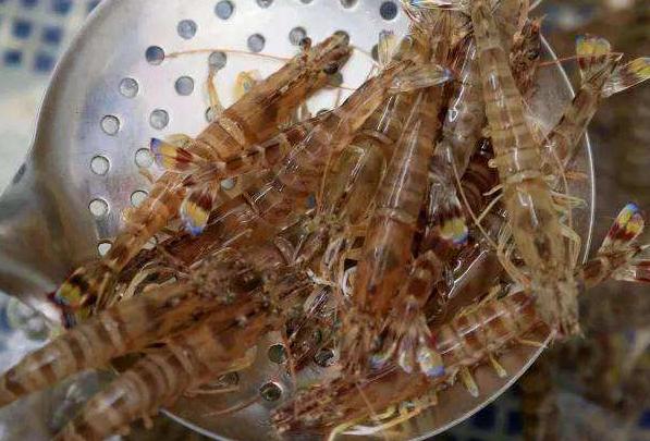 吃了30年的鱼才知道还有这种做法,吃了这么久的虾现在才知道奥秘