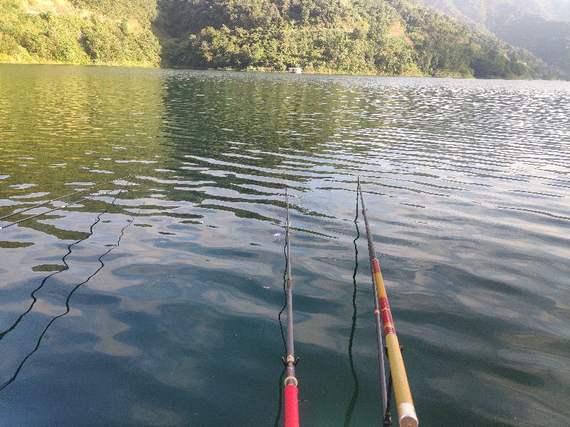 野钓大草鱼技术好钓到的鱼真不少,野钓大草鱼实用绝招