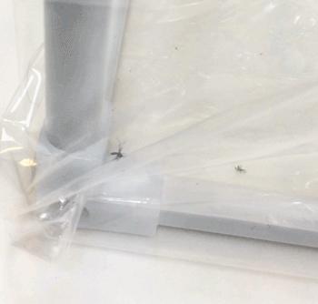 用100只蚊子做驱蚊测评,婴儿驱蚊液实测