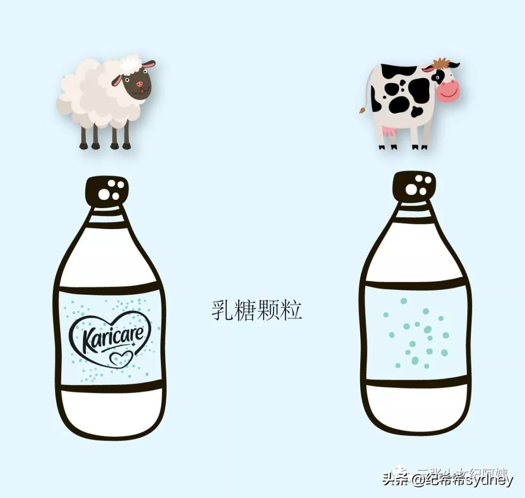 私校、学区房、补习班：所有华人妈妈都逃不开的三件套