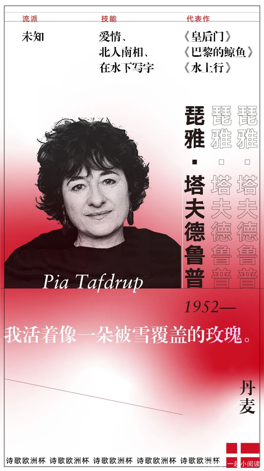 足球欧洲杯比赛,足球欧洲杯赛季