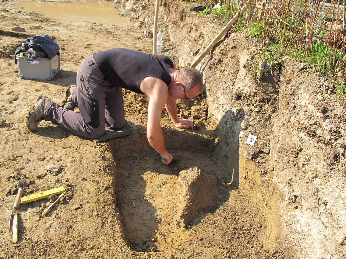 多瑙河立功了,德国考古学家:多亏河水,我挖到2.5米的猛犸象牙