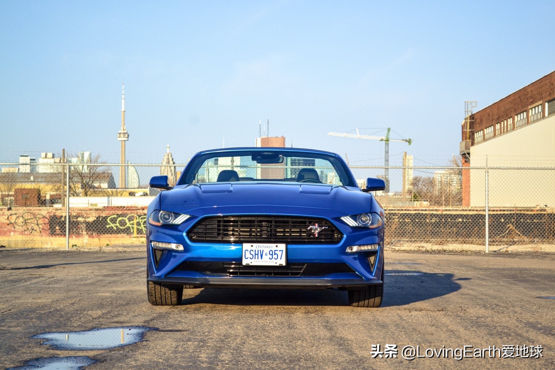 福特野马gt豪华跑车2024,福特野马gt敞篷加州限量版