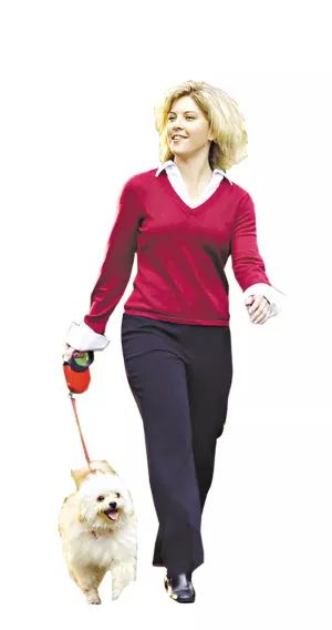 为什么现在的年轻人都喜欢养宠物,年轻人养宠物是病态吗