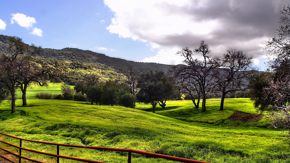 楚辞仙气清冷女孩名字,楚辞中优雅动听的女孩名字大全