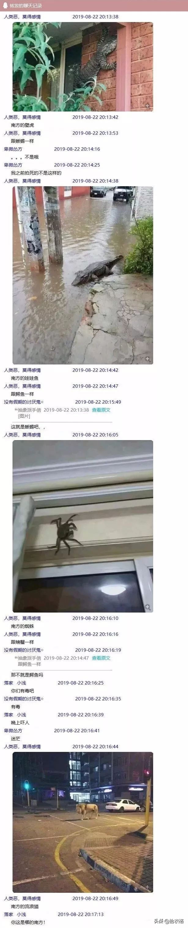 “女友网购了一件紧身裙子，这也太紧了吧！谁能顶得住啊…”