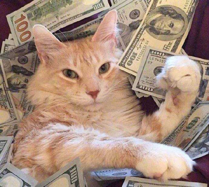 被动收入怎么赚钱呢,想赚钱一定要拼命搞被动收入