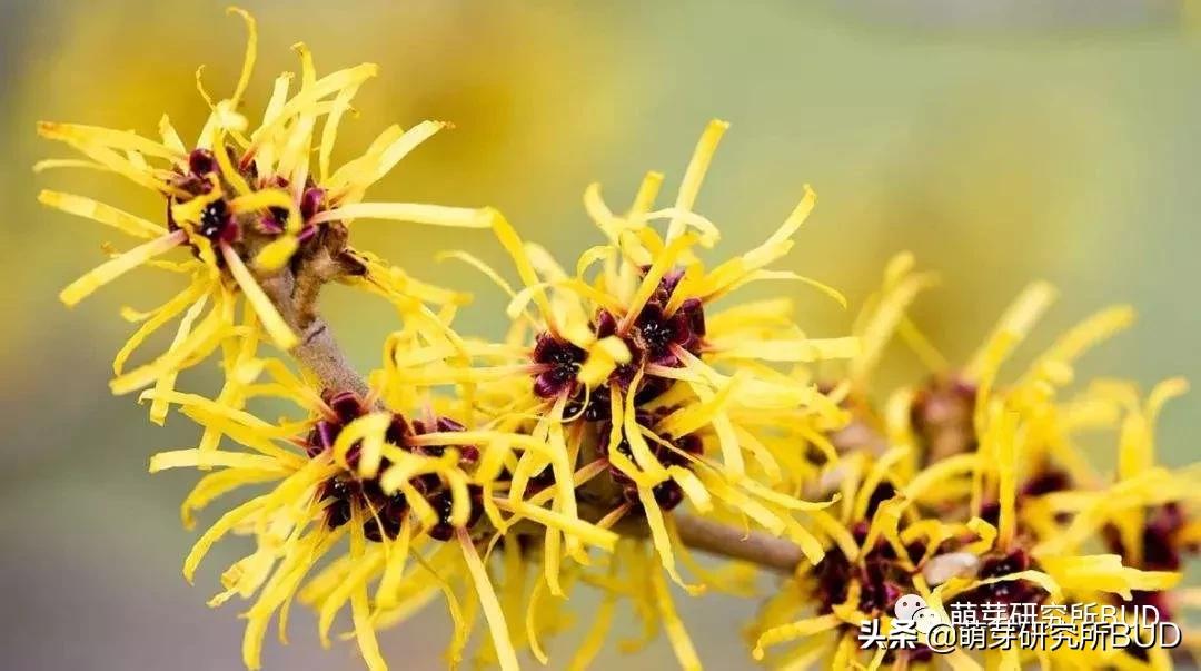 护肤水乳清爽防过敏大牌,护肤保湿水乳平价推荐女生