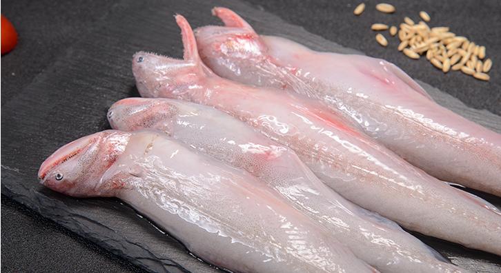 这5种常见海鱼都是野生捕捞,最好捕捞的海鱼