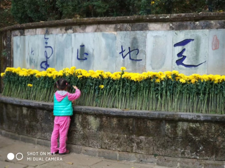 云南大漠古镇旅游攻略,云南旅游全攻略雪山景区