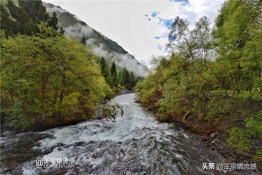 夜色成都串串爽，魅力小金苹果香#国庆中秋趣哪玩#