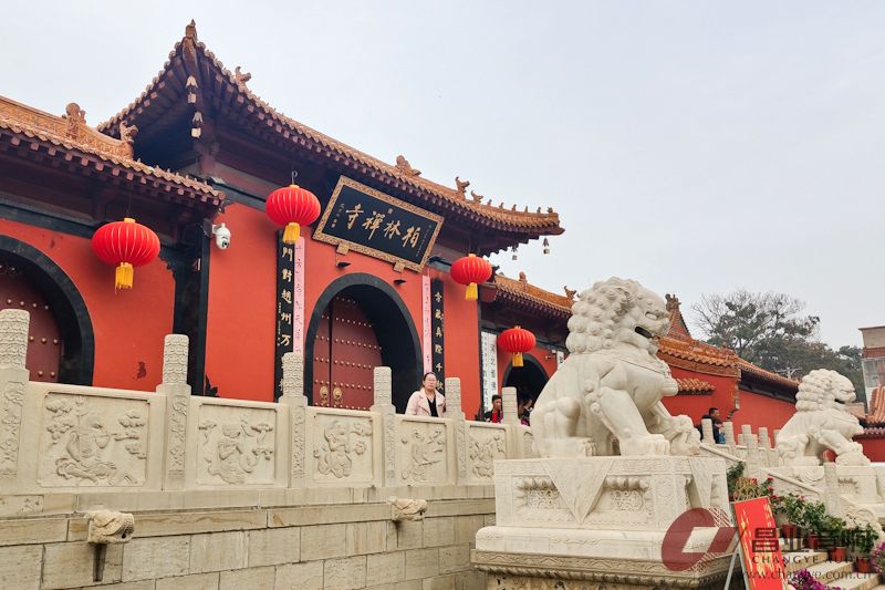 昌业经销石家庄虹音堂巡礼——赵县的柏林禅寺、4S店里的事