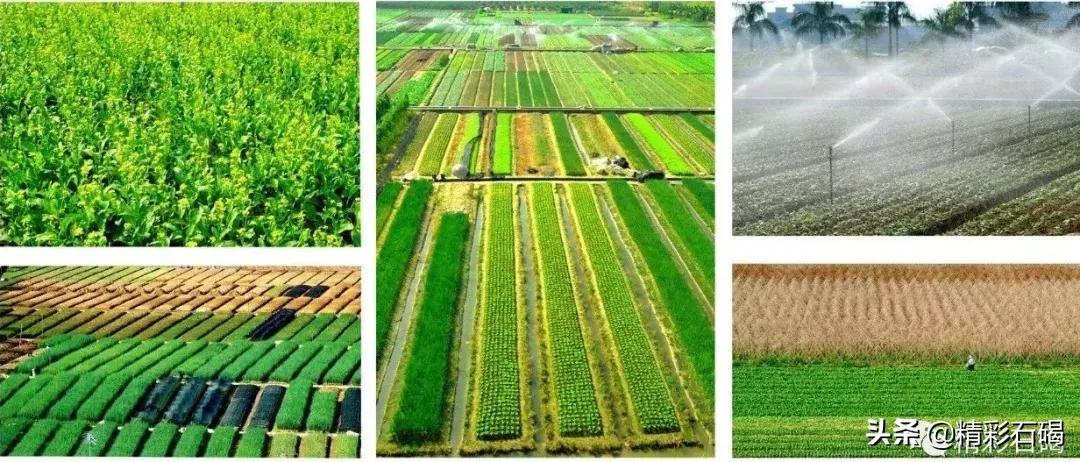 重磅!石碣镇入围2019年度全国百强镇,东莞还有这些镇上榜!