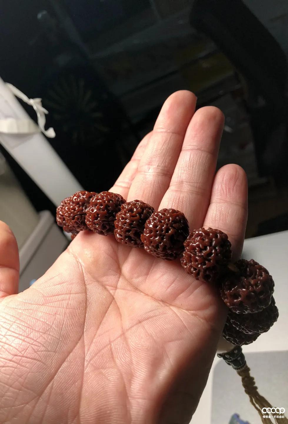 金刚菩提攻略,金刚菩提毕业级手盘