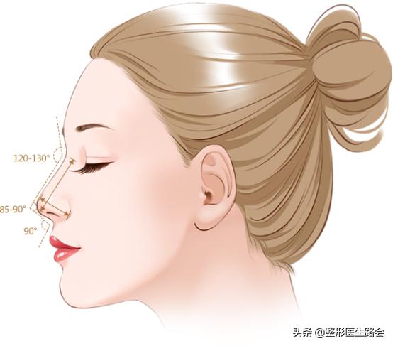 正确的美鼻方法,东方美鼻标准图