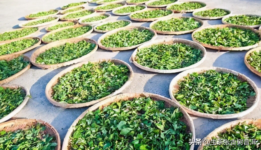 普洱茶收藏书籍推荐,普洱茶的香气大揭秘