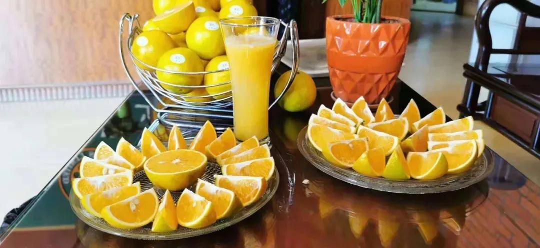 展会圆满落幕下届再见,展会圆满落幕2019