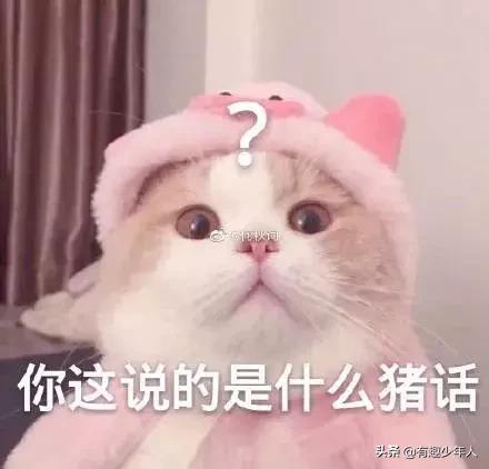 广东话谐音梗,带口音的谐音梗