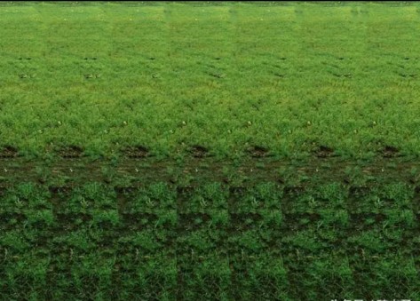 有意思的三维视频,有意思的图片配图