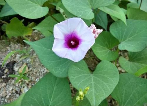 散文人生哲理,散文中富有哲理的话