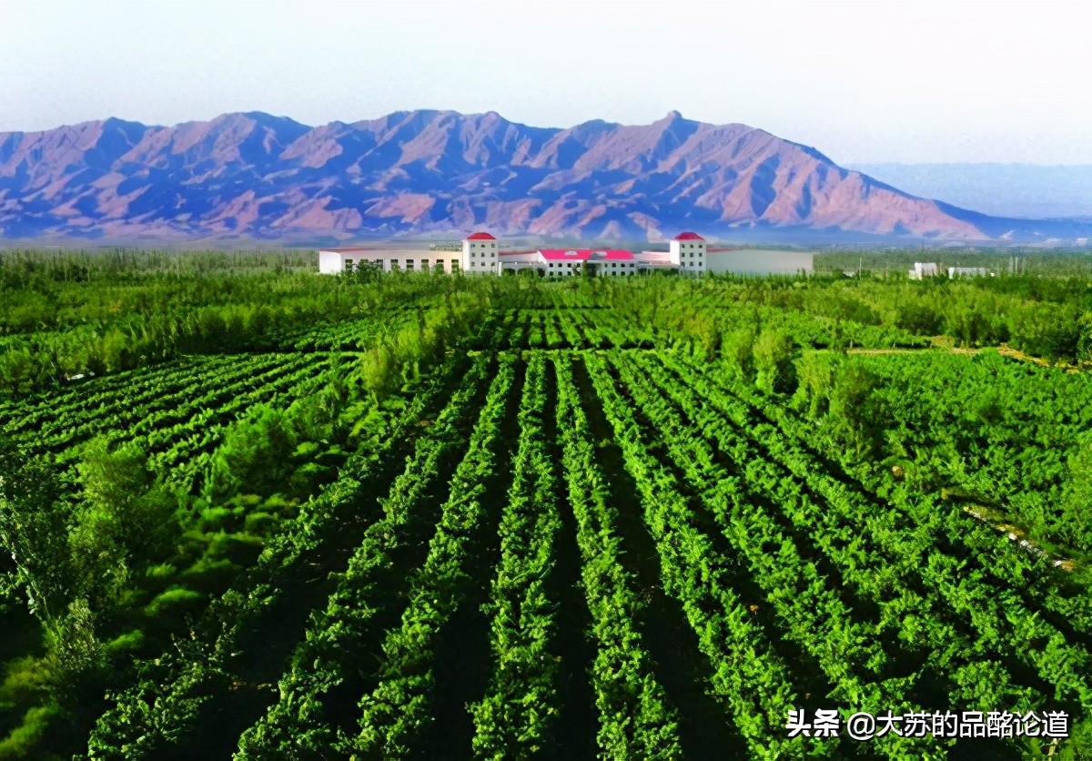最好的葡萄酒电商平台,卖葡萄酒的电商平台有哪些