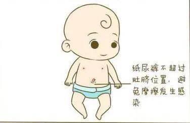宝宝脐带大概会在多少天脱落,宝宝脐带多久掉用什么消毒