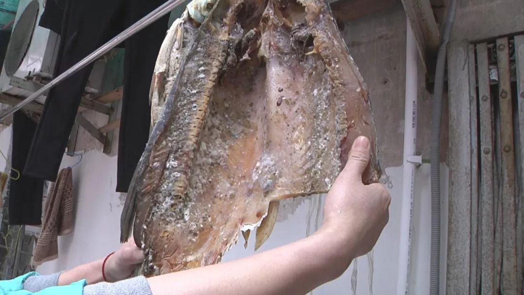 广东梅雨季节和回南天是一样的吗,广东5月份天气属于雨季吗